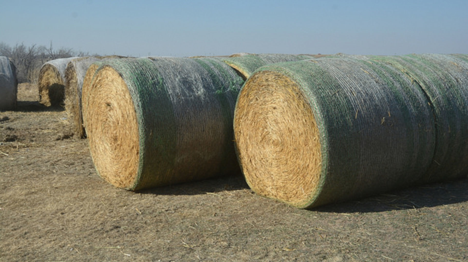 DRC_Hay bales.jpg